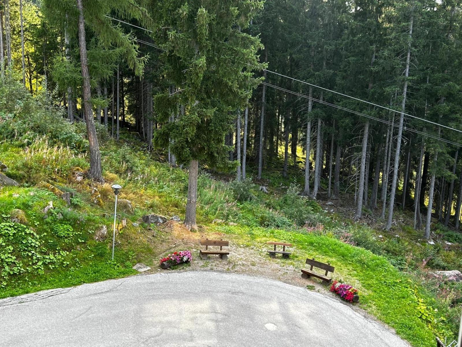 Apartament Sole Alto Marilleva Mezzana  Zewnętrze zdjęcie